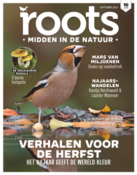 NIEUWE ROOTS 