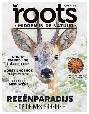 NIEUWE ROOTS